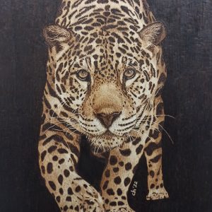 Jaguar