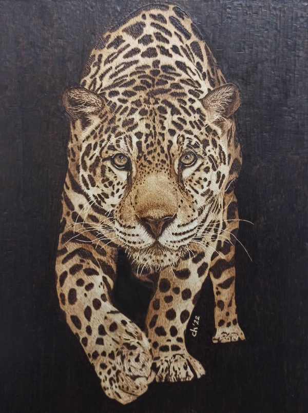 Jaguar